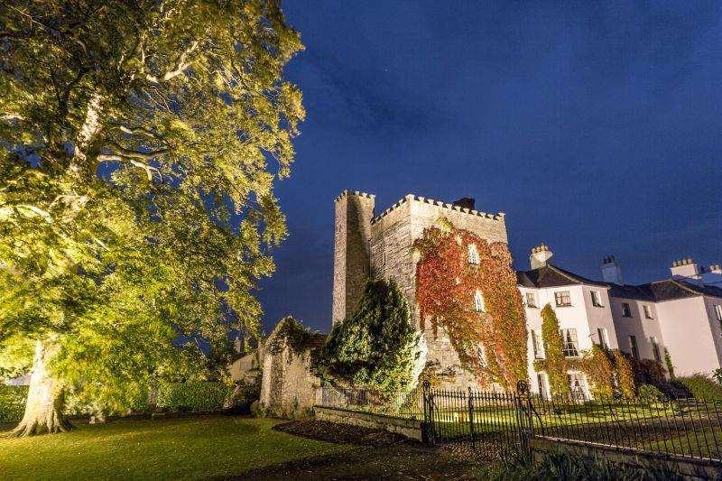 Barberstown Castle Hotel Straffan Eksteriør billede