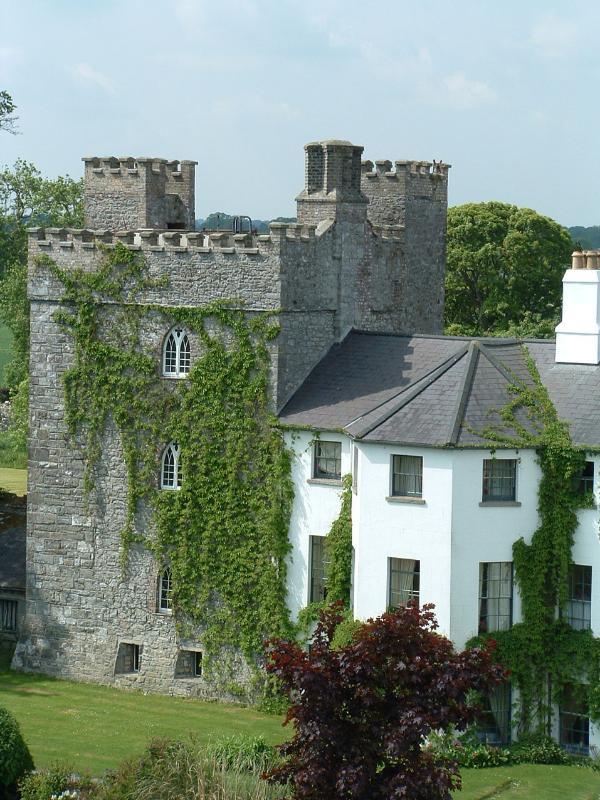 Barberstown Castle Hotel Straffan Eksteriør billede